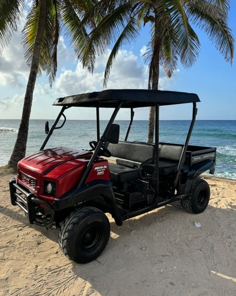 Kawasaki Mule 4010 – foto 1