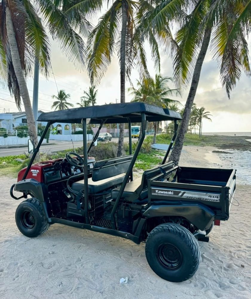 Kawasaki Mule 4010 – foto 3