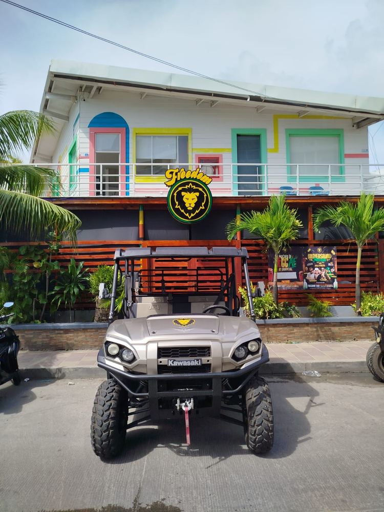 Kawasaki Mule Pro Ranch 1000 Special Edition – foto 2
