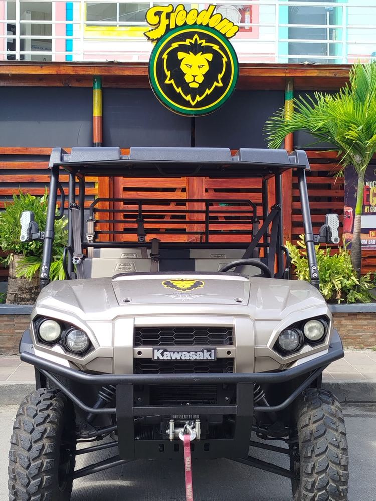 Kawasaki Mule Pro Ranch 1000 Special Edition – foto 3