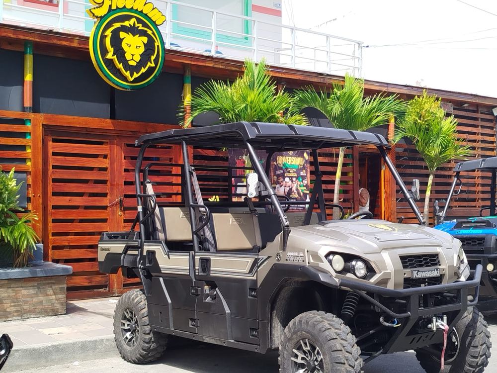 Kawasaki Mule Pro Ranch 1000 Special Edition – foto 4