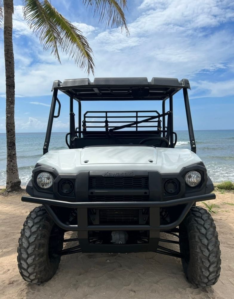 Mula Kawasaki Pro – foto 1