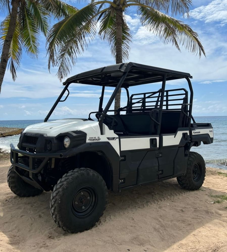 Mula Kawasaki Pro – foto 3