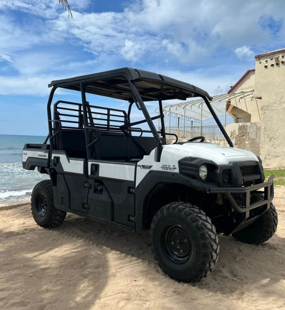 Mula Kawasaki Pro – foto 4